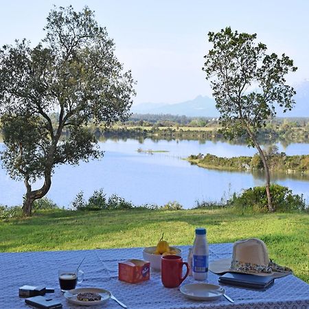 Locations "Chezchristine Aleria" A Aleria Villa Dış mekan fotoğraf