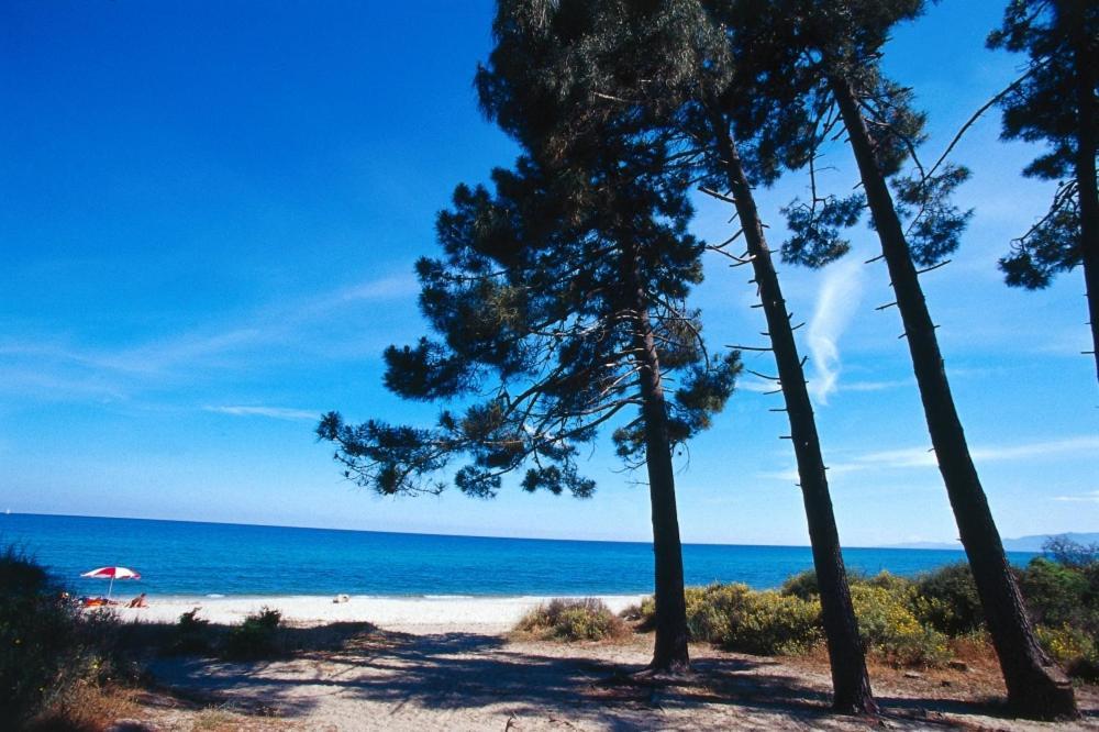 Locations "Chezchristine Aleria" A Aleria Villa Dış mekan fotoğraf