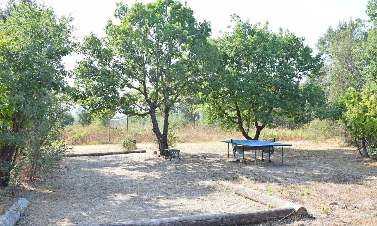 Locations "Chezchristine" A Aleria Villa Dış mekan fotoğraf