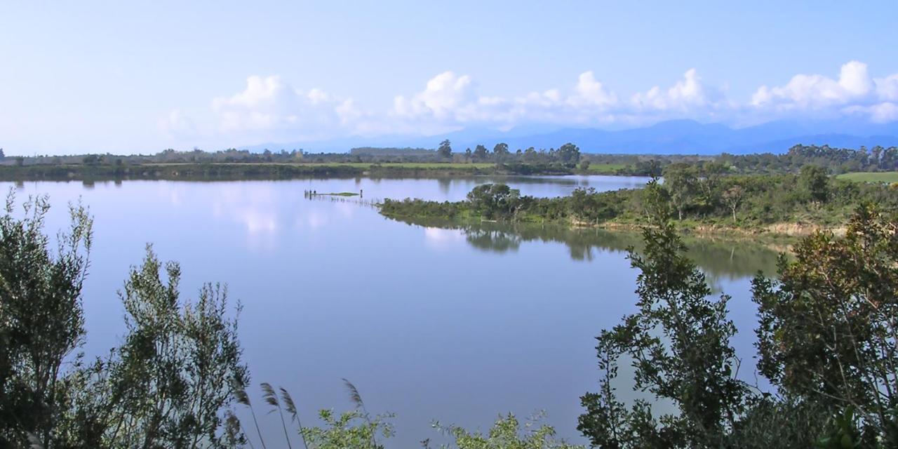 Locations "Chezchristine" A Aleria Villa Dış mekan fotoğraf